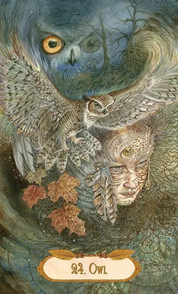 Winged Enchantment Oracle Deck by Lesley Morrison and Lisa Hunt