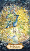 Winged Enchantment Oracle Deck by Lesley Morrison and Lisa Hunt