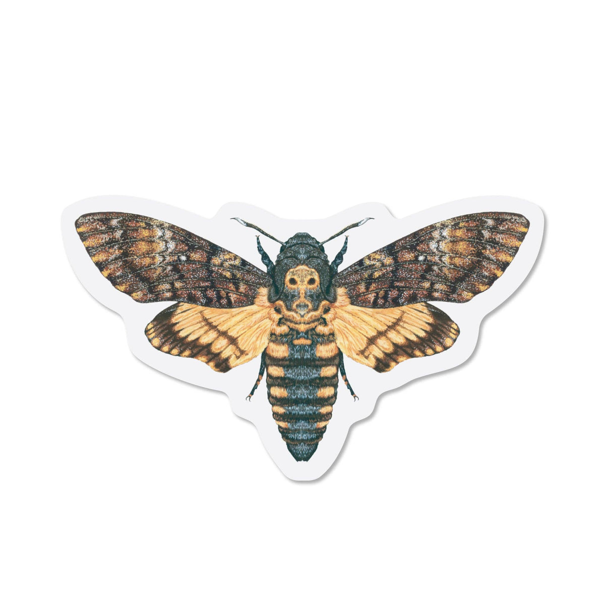 Death's-head Hawkmoth Clear Vinyl Sticker