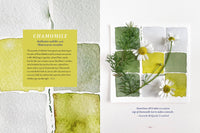 Generosity Of Plants by Rosemary Gladstar