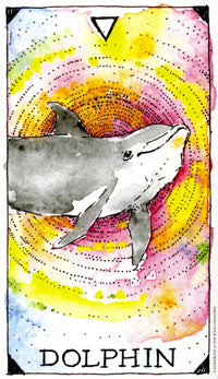 Wild Unknown Animal Spirit Deck and Guidebook by Kim Krans