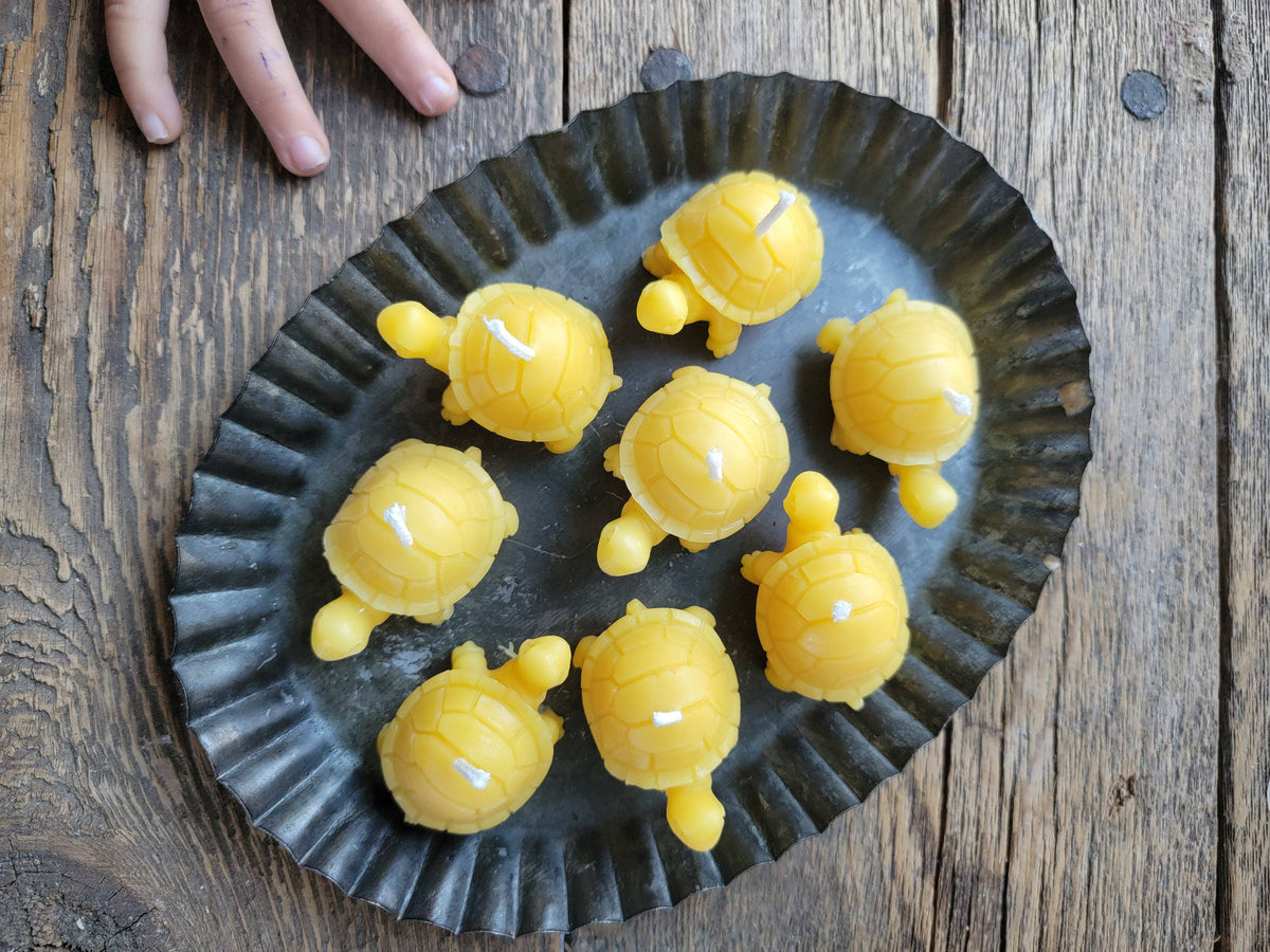 Beeswax Mini Turtle Candles
