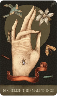 Dream Song Oracle by Angi Sullins & Marta Orlawsky