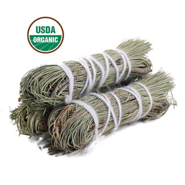 Pine Herbal Bundle for Resolve