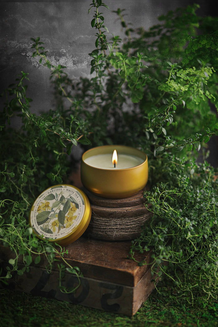 Narcissus + White Tea Candle