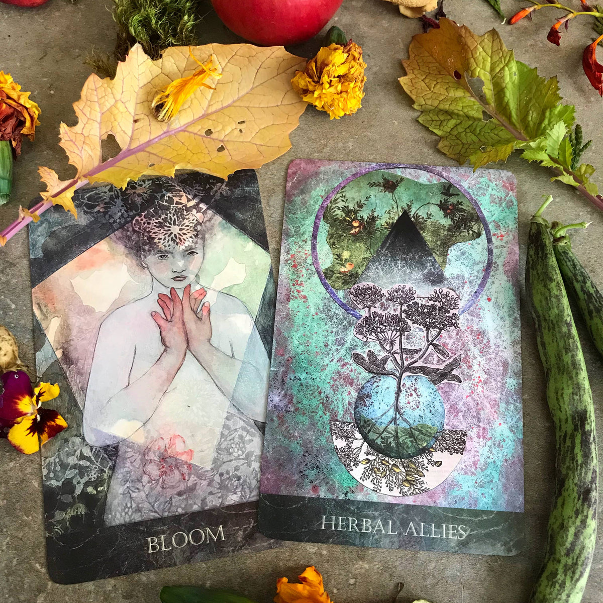 The Faceted Garden Oracle by Claire Mack