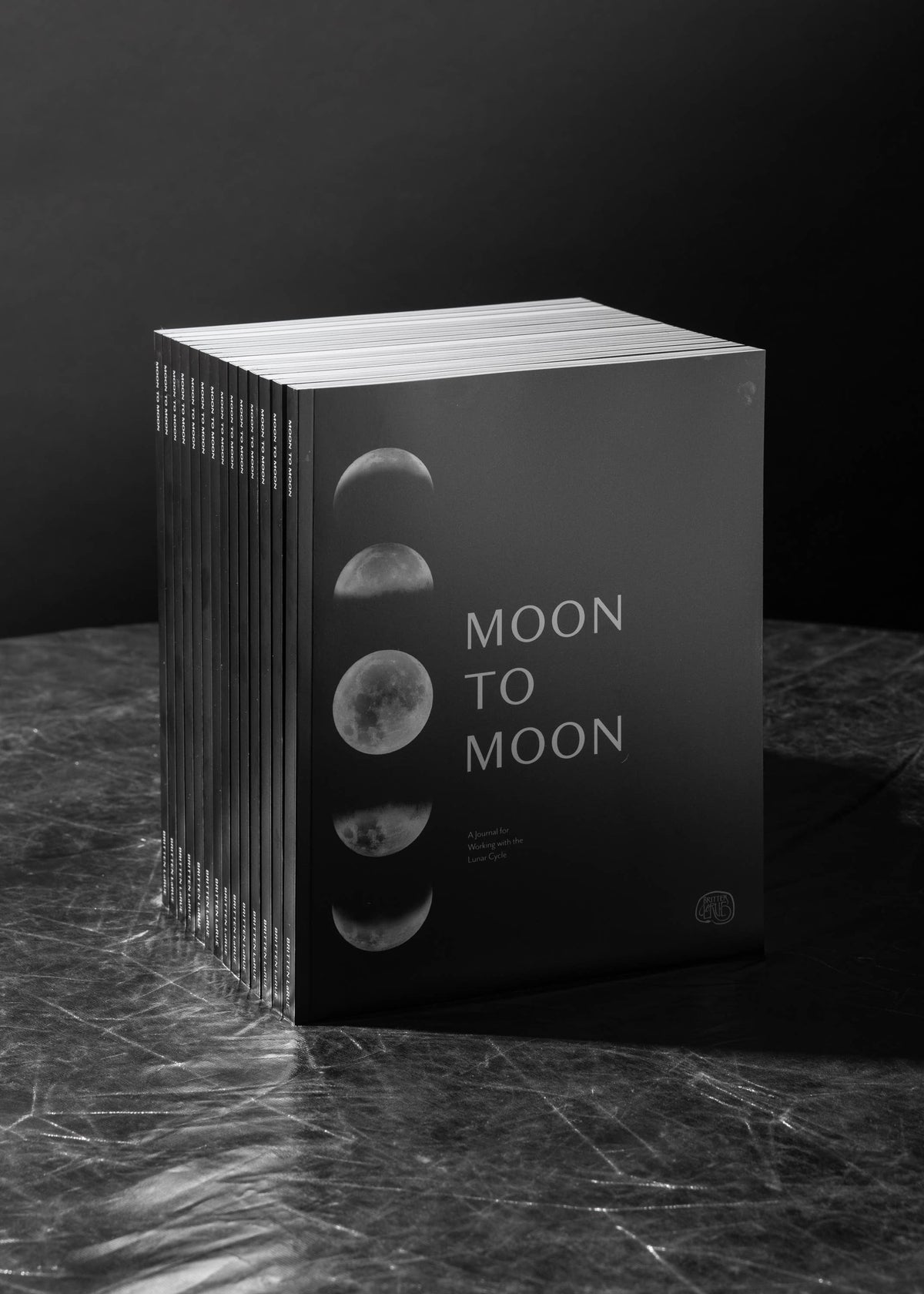 Moon to Moon Journal by Britten Larue & Angela George