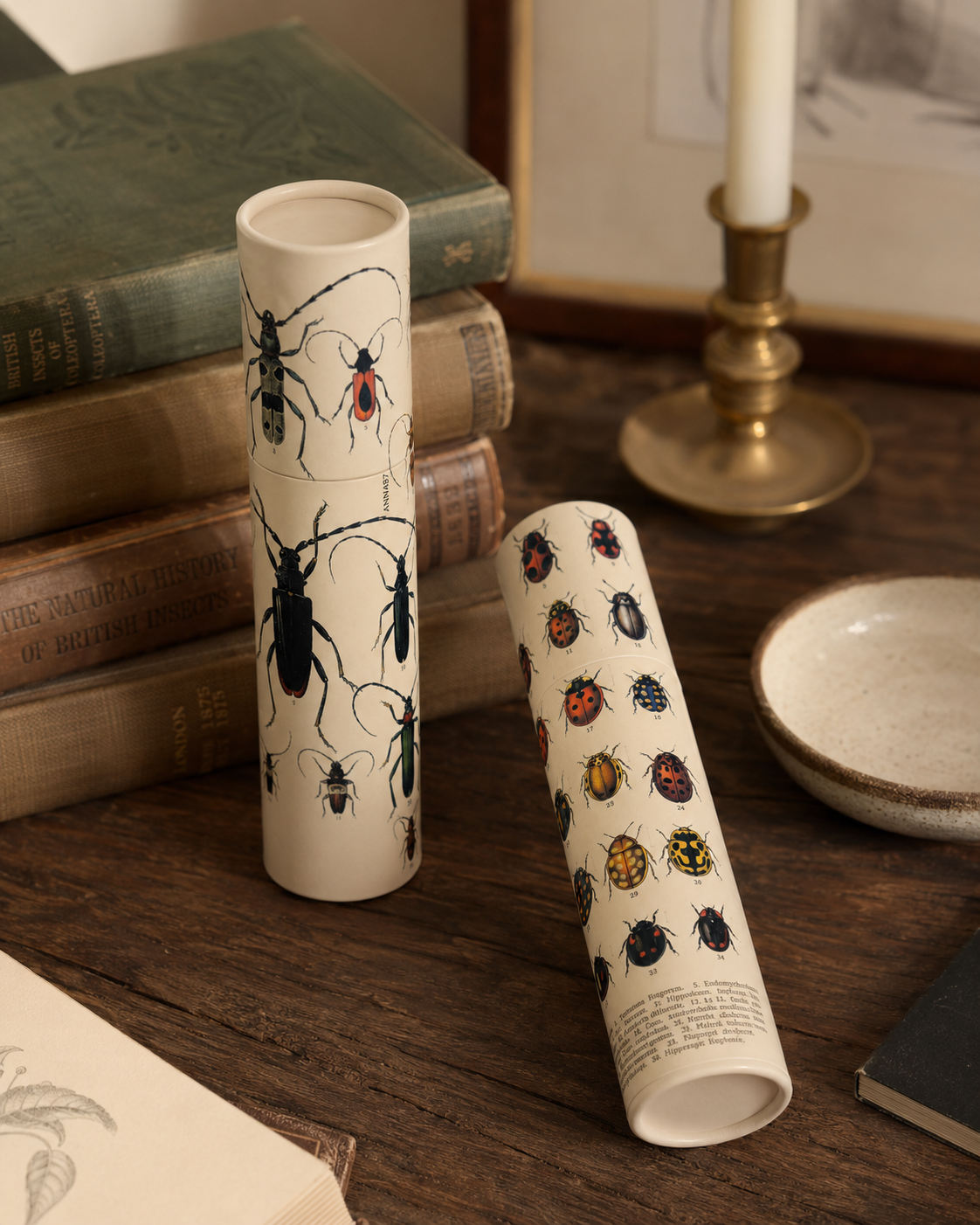 Vintage Entomology Tube Matches