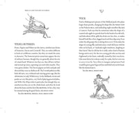 Brigg's Dictionary of Fairies by Katharine Briggs and Fee Greening