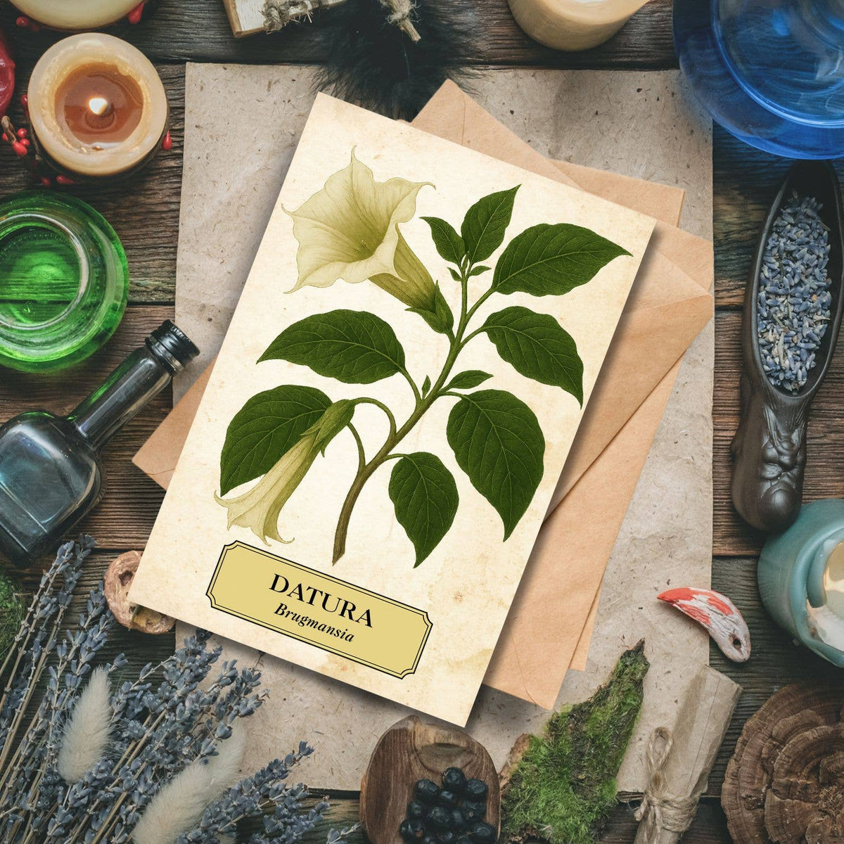 Witch's Garden Greeting Cards