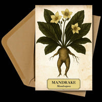 Witch's Garden Greeting Cards