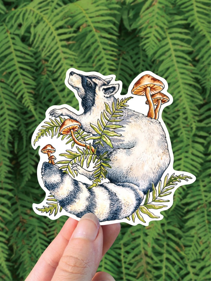Raccoon Forager Vinyl Sticker