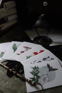 Datura Poison Greeting Card