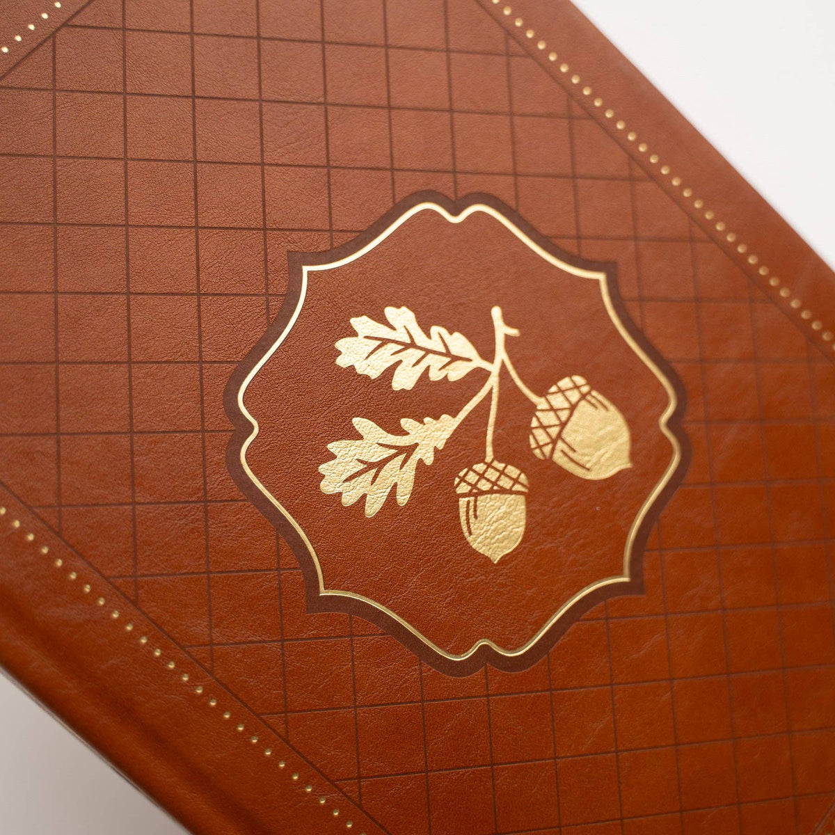 Acorns Dot Grid Journal