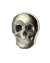 Skull Anatomy Vinyl Sticker