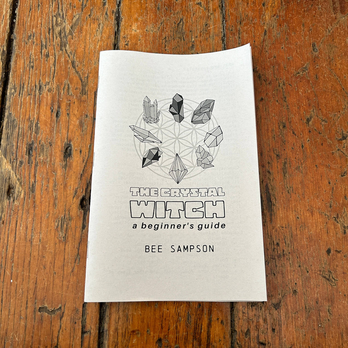 The Crystal Witch by Dakota St.Clare