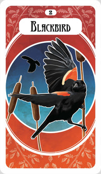 Avian Oracle by Sandra Kynes and Gianna Rini