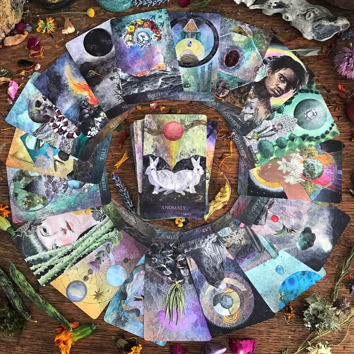 The Faceted Garden Oracle by Claire Mack
