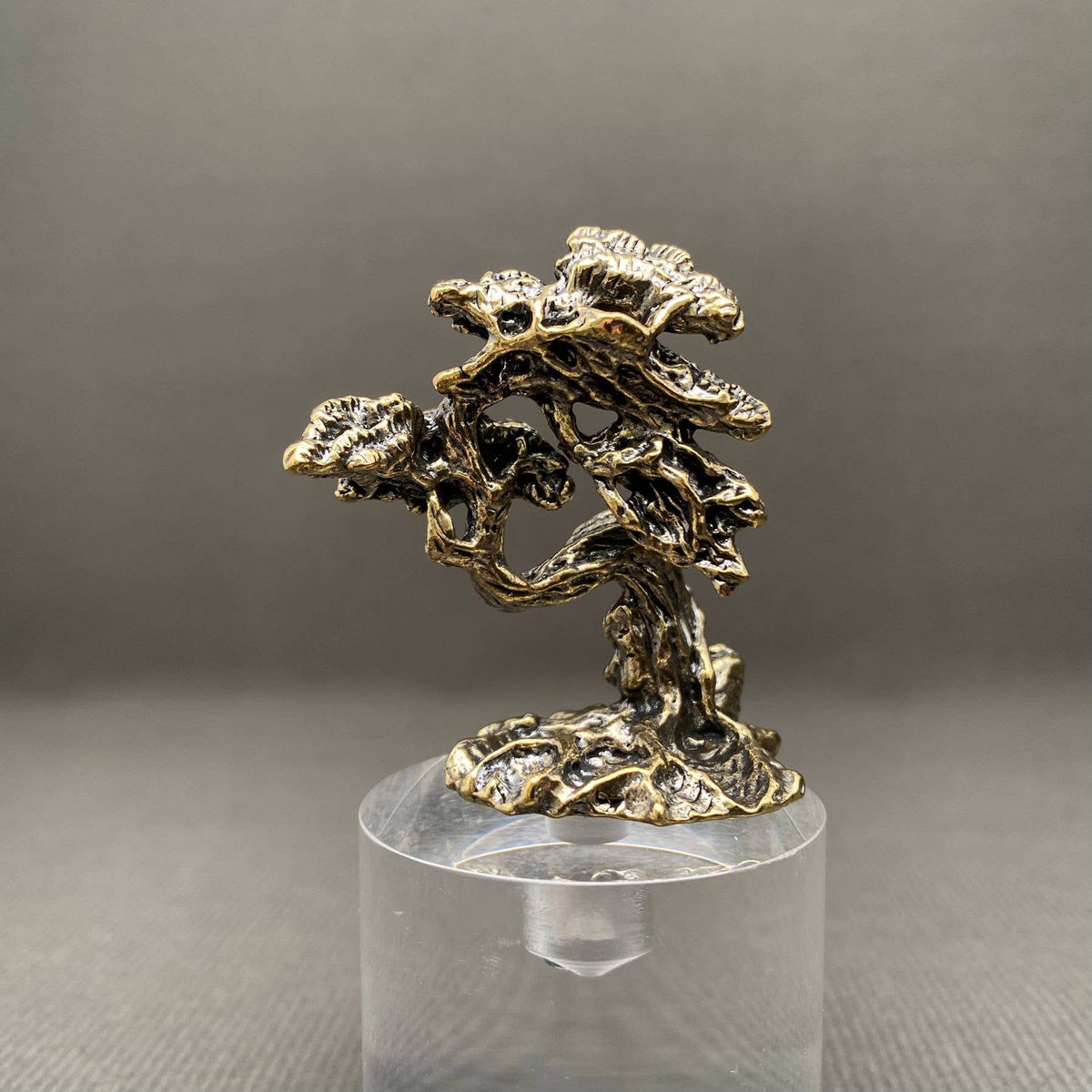 Brass Bonsai Tree Decoration