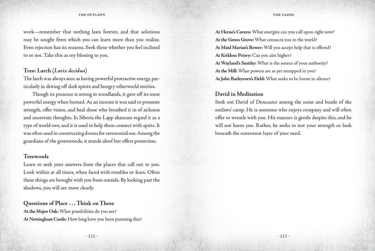 Sherwood Oracle by Mark Ryan, John Matthews, & Anne Yvonne Gilbert