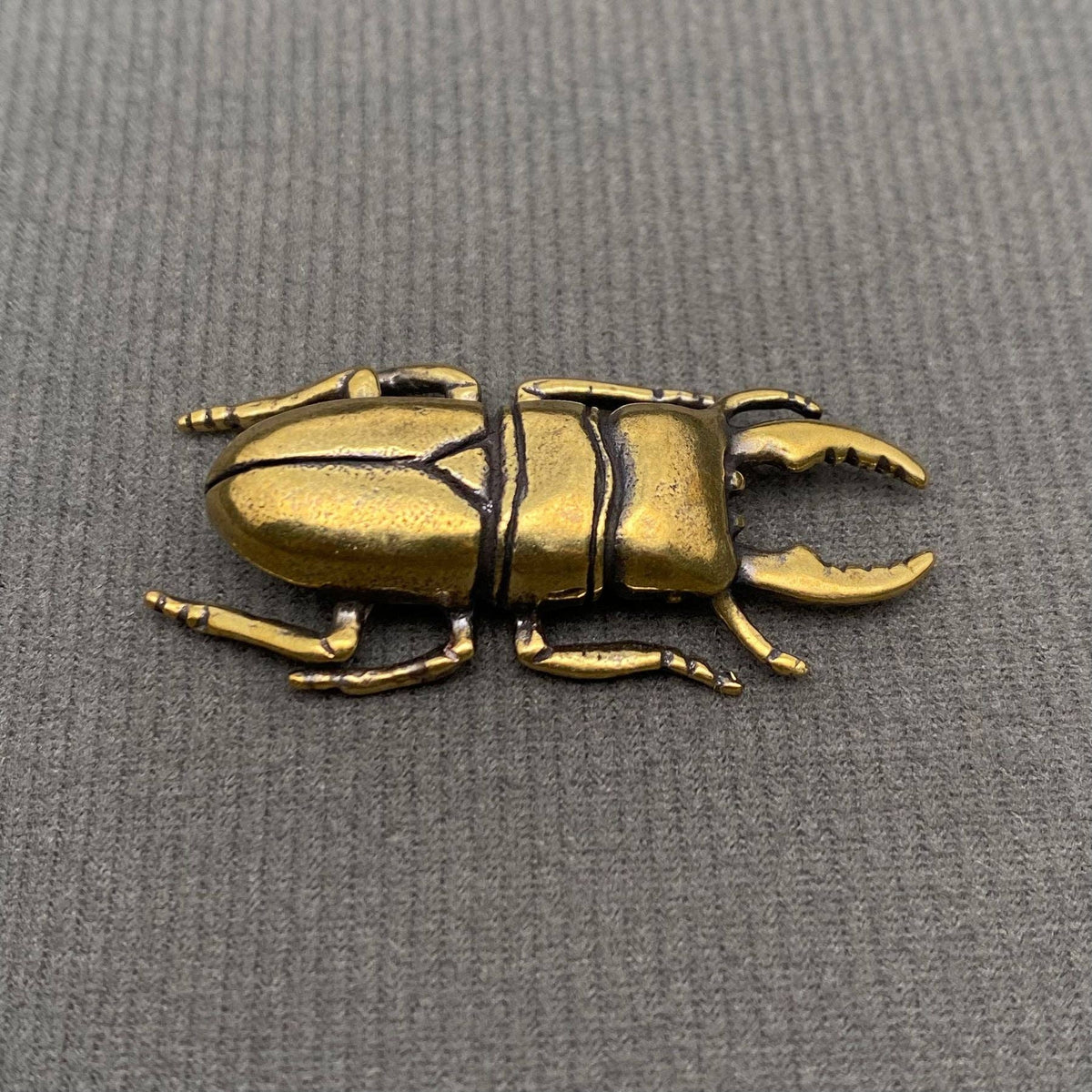 Brass Stag Beetle Decoration