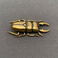 Brass Stag Beetle Decoration