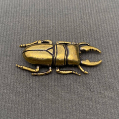 Brass Stag Beetle Decoration