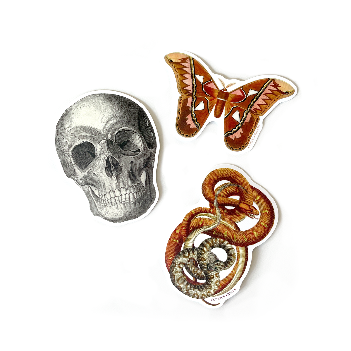 Intertwined Snakes Matte Vinyl Sticker