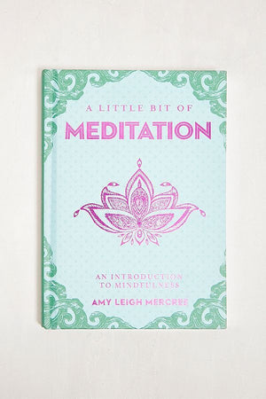 Little Bit of Meditation by Amy Leigh Mercree