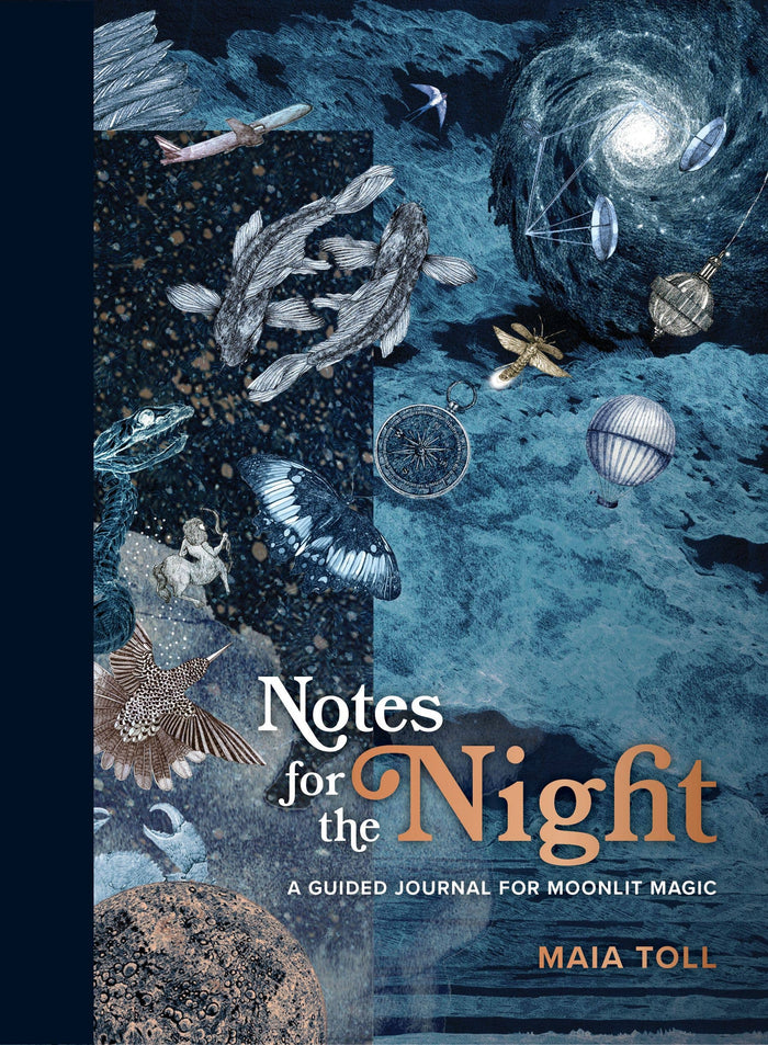 Notes for the Night Journal by Maia Toll