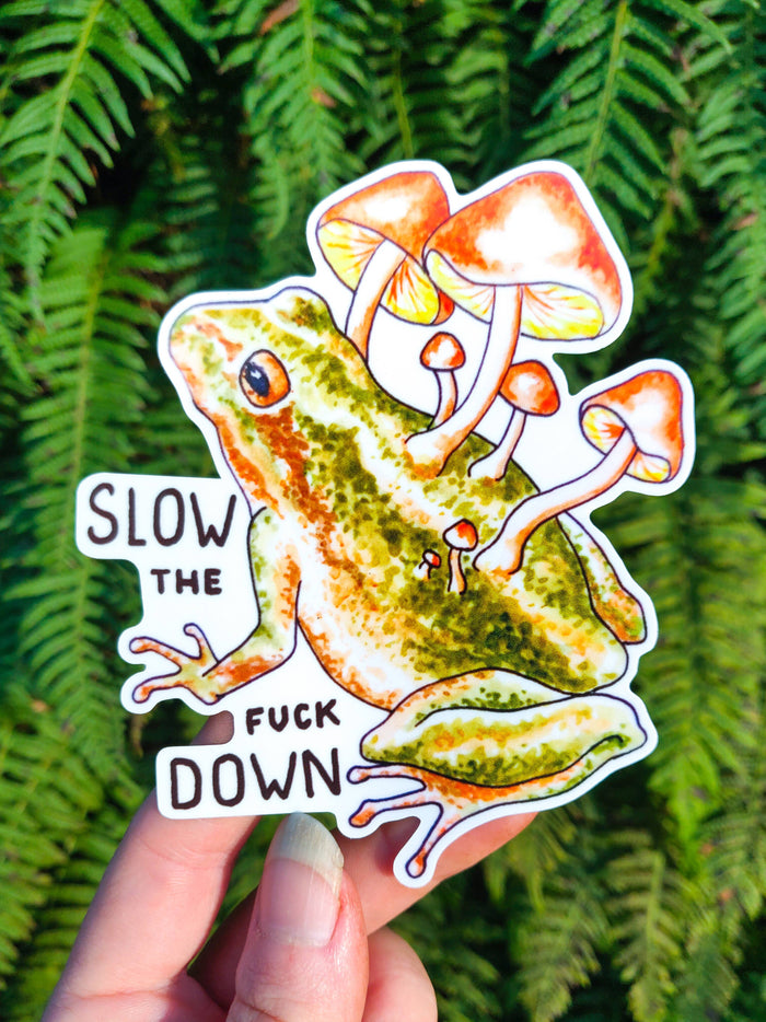 Slow Down Vinyl Sticker