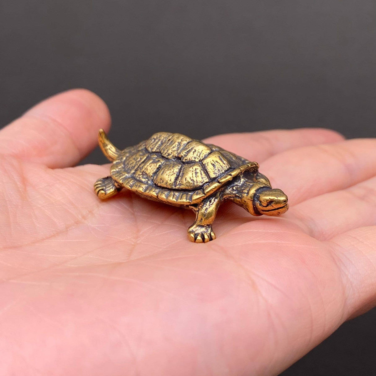 Brass Snapping Turtle Decoration