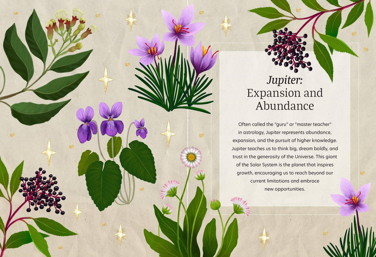 Astro Herbalism by Jessica Rosset