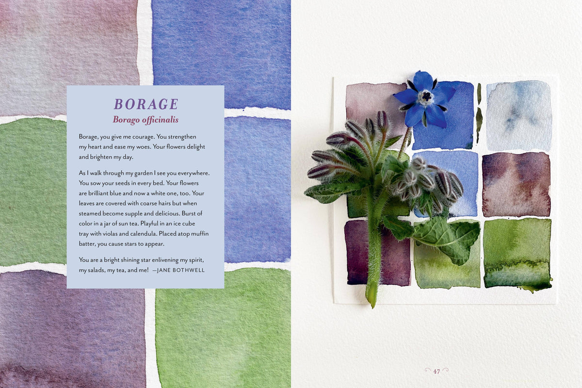 Generosity Of Plants by Rosemary Gladstar