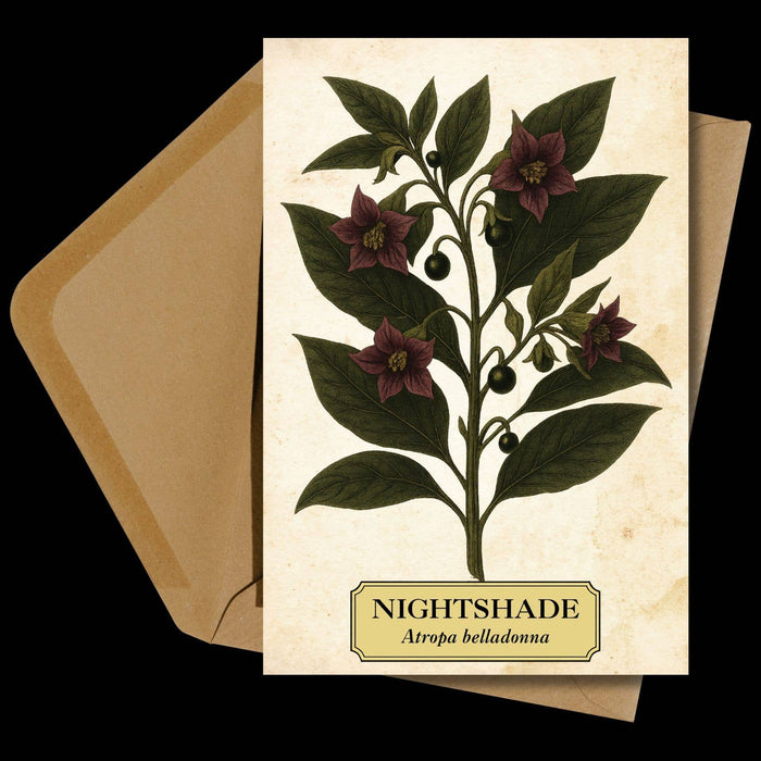 Witch's Garden Greeting Cards