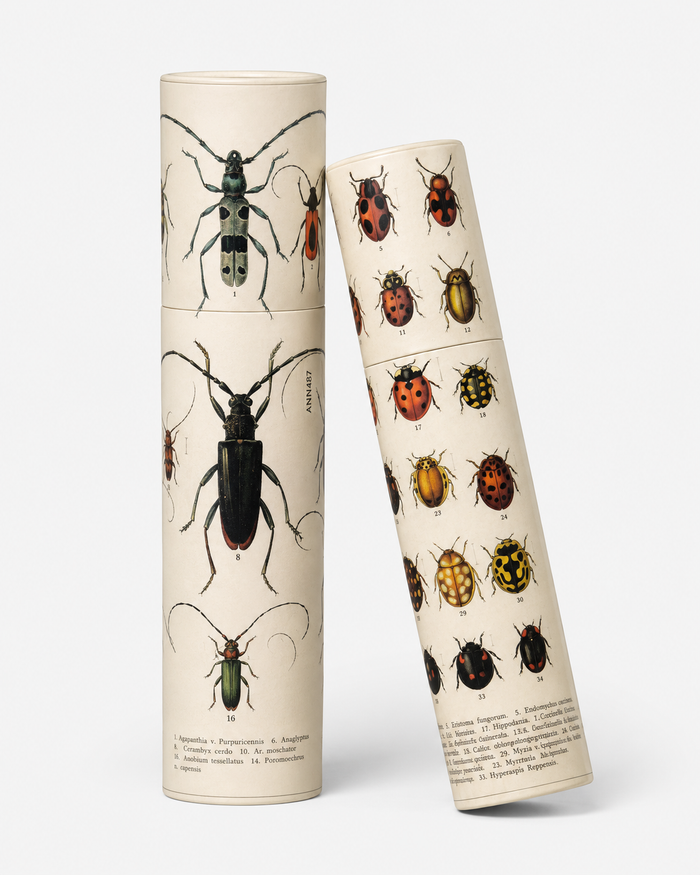Vintage Entomology Tube Matches