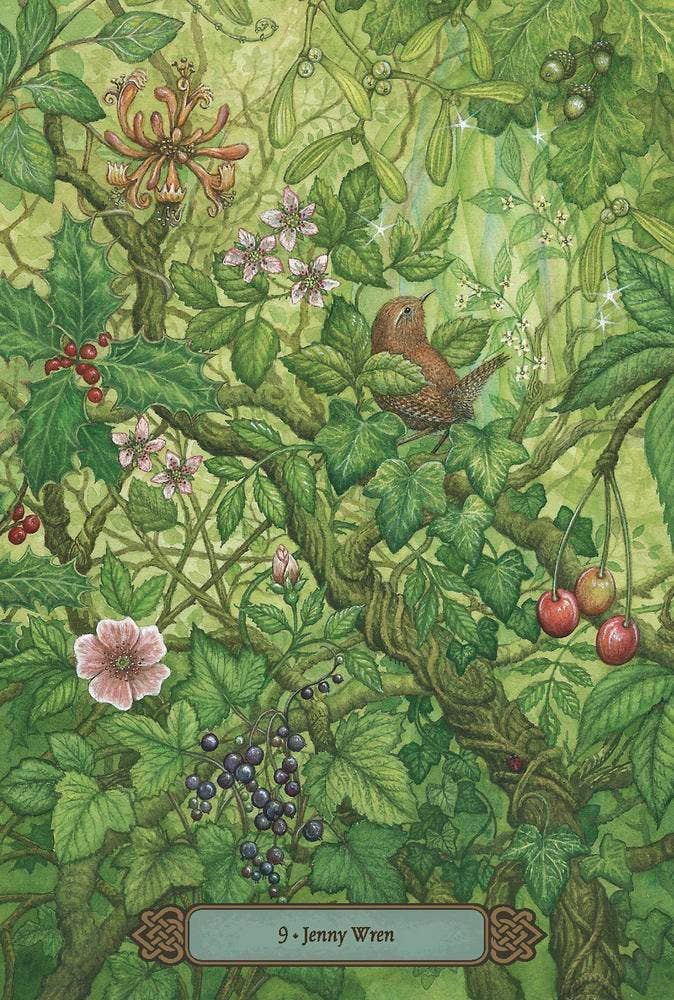 Forest Of Enchantment Oracle by Lunaea Weatherstone and Meraylah Allwood