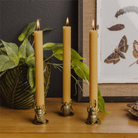 Brass Finish Insect Shaped Taper Candleholders - Various Designs
