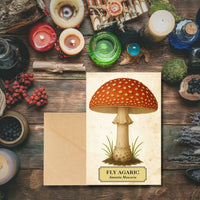 Witch's Garden Greeting Cards