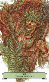Sherwood Oracle by Mark Ryan, John Matthews, & Anne Yvonne Gilbert