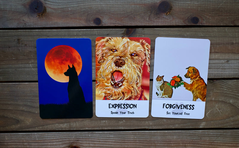 Divine Dog Wisdom Cards by Randy Crutcher & Barb Horn