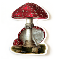 Vintage Mushroom Illustration Vinyl Sticker