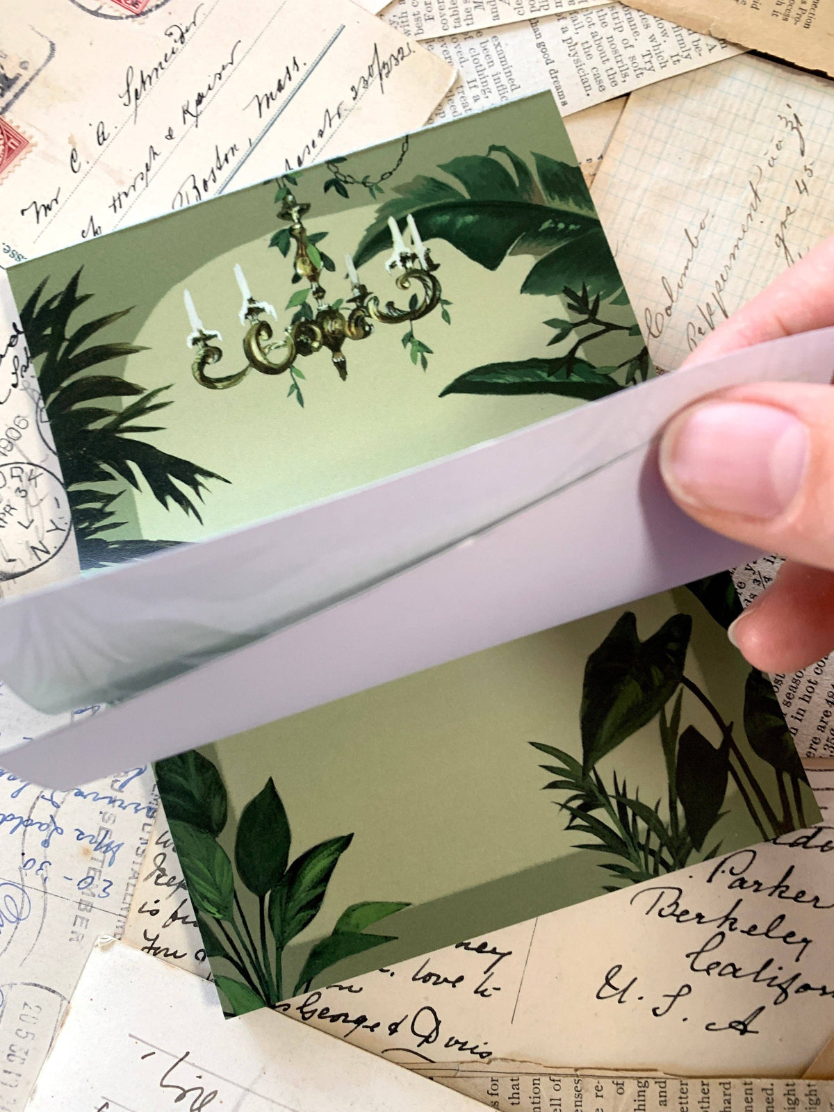 Conservatory Notepad