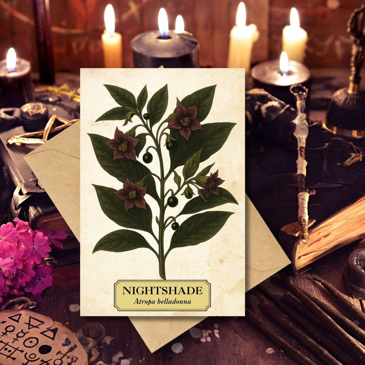 Witch's Garden Greeting Cards