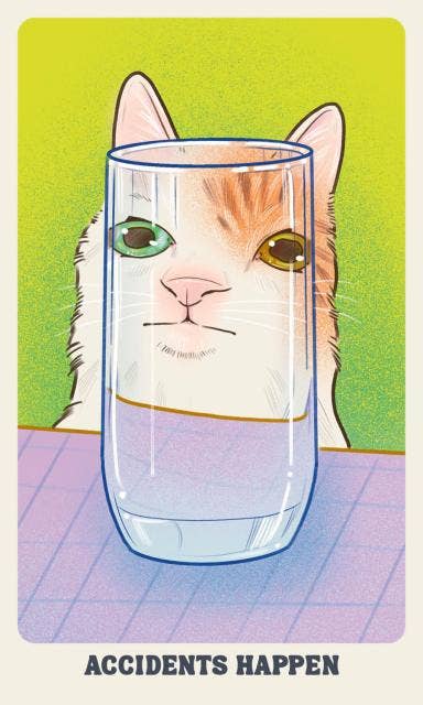 Feline Mystique Oracle Deck and Guidebook by Jennifer Sodoni & Amelia Rose