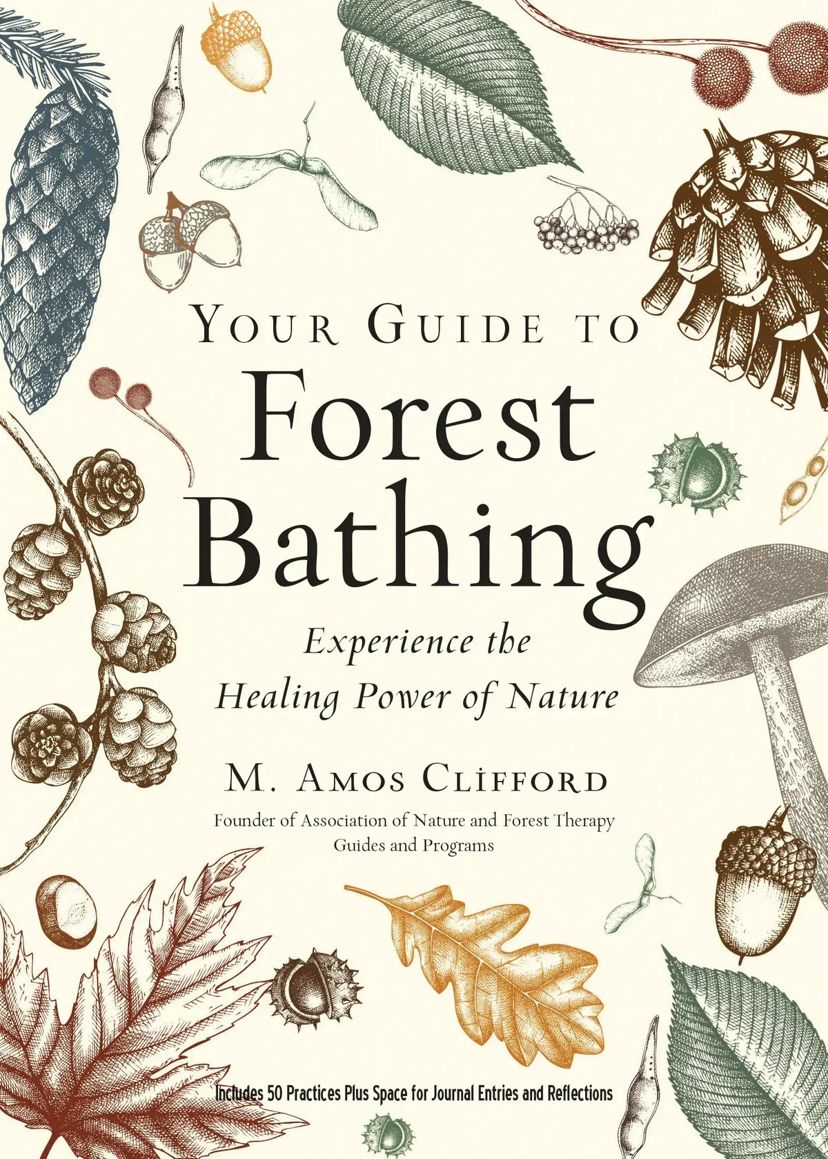 Your Guide to Forest Bathing: Expanded Edition by M. Amos Clifford