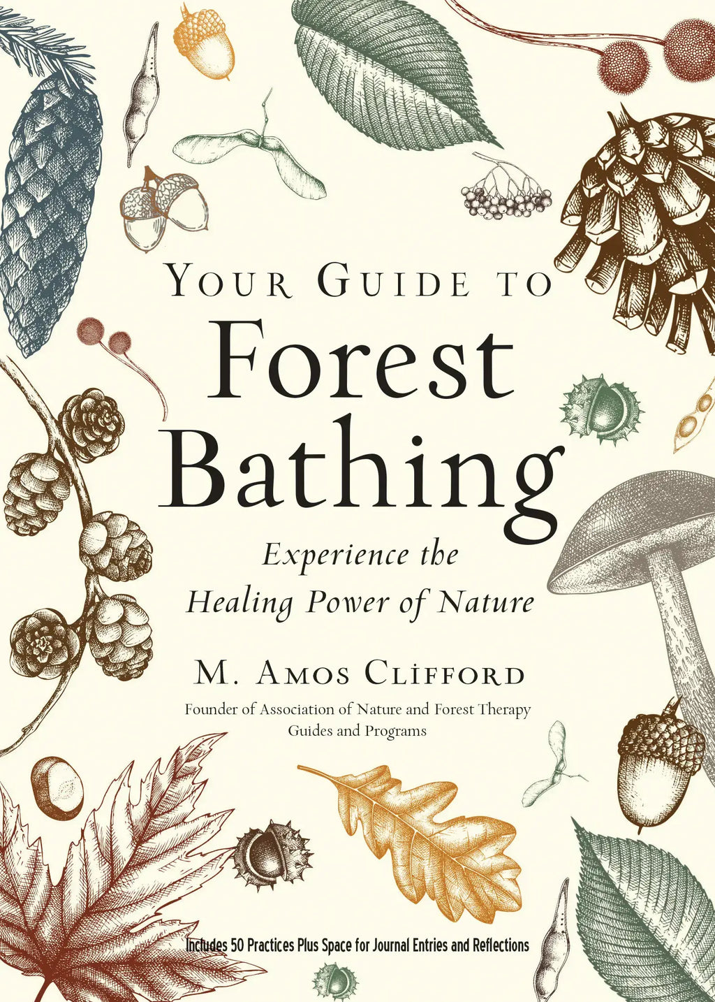 Your Guide to Forest Bathing: Expanded Edition by M. Amos Clifford