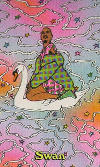Queer Animal Oracle by Ashley Molesso & Chess Needham