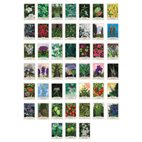 The Southern Botanic Oracle by Stacey Williams-Ng