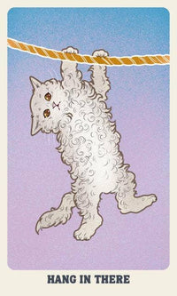 Feline Mystique Oracle Deck and Guidebook by Jennifer Sodoni & Amelia Rose
